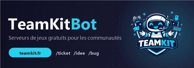 Bannière Discord