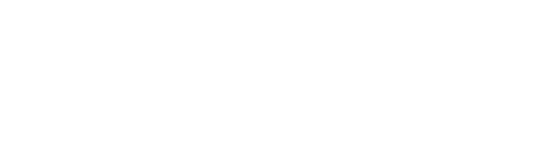 Logo EXFIL