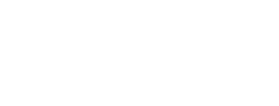 Logo Frozen Flame