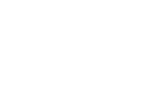Logo VEIN